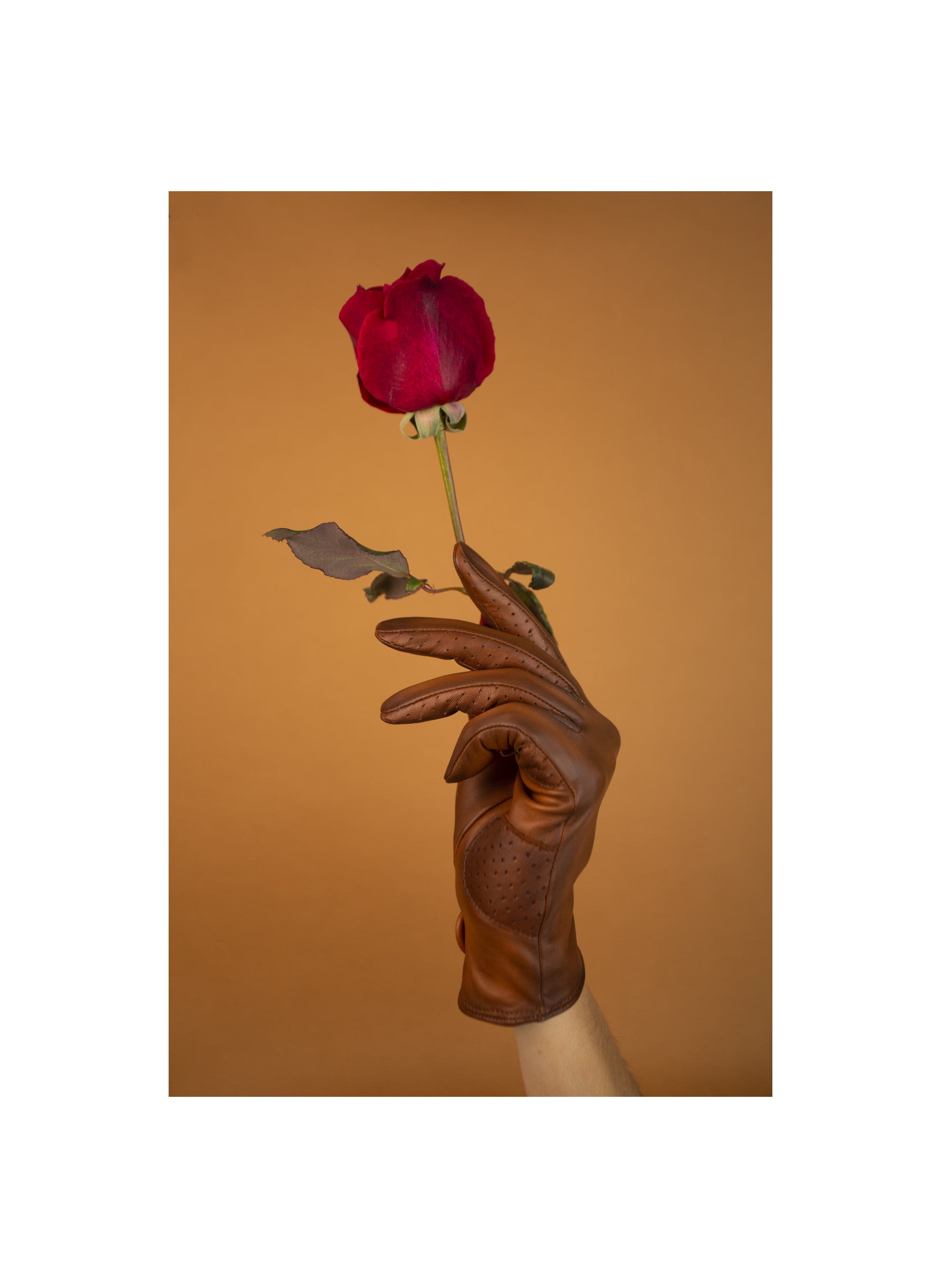 Amal Women's Leather Gloves Lined with Silk