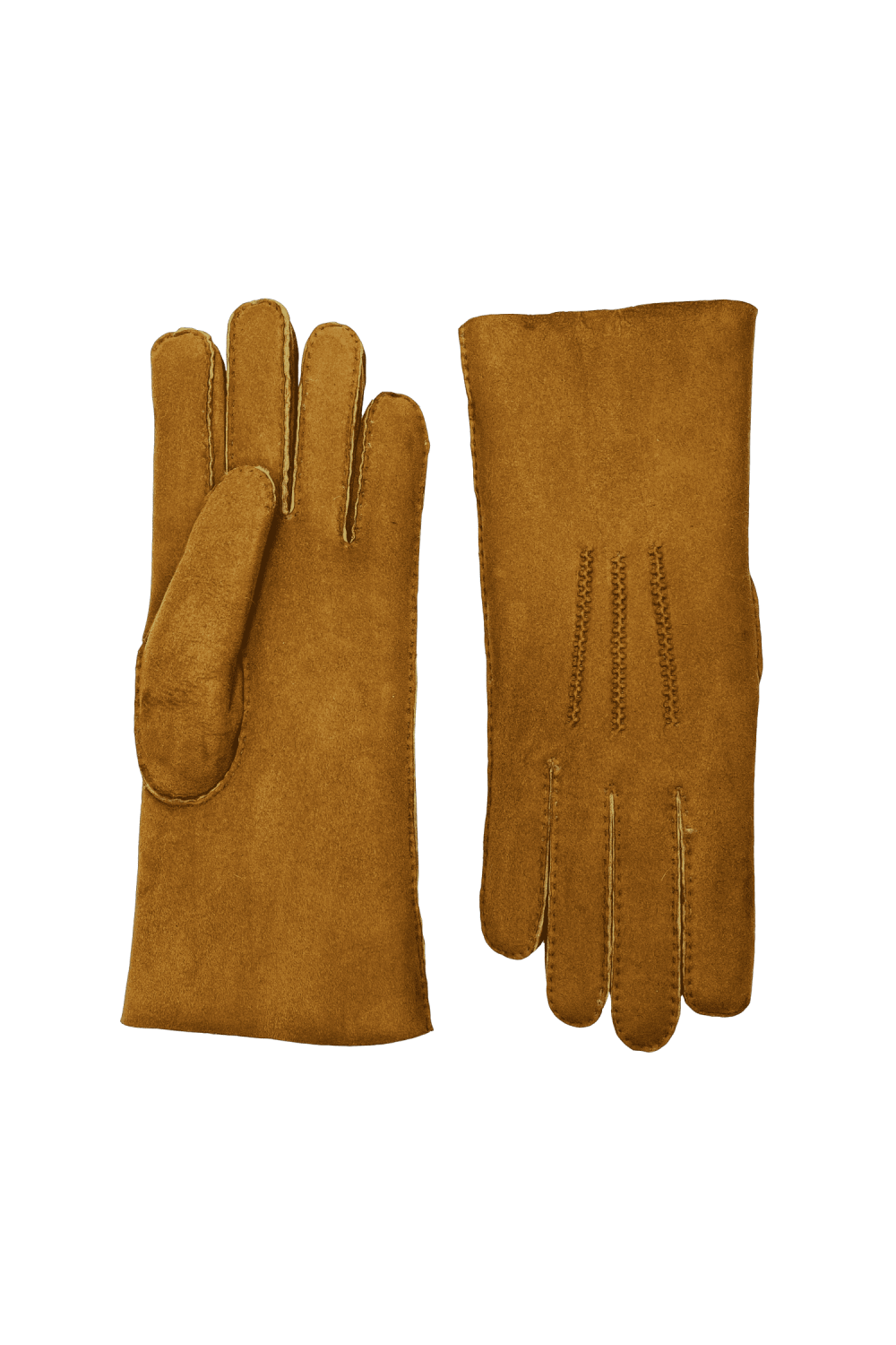 Arnaud Men's Double Face Leather Gloves