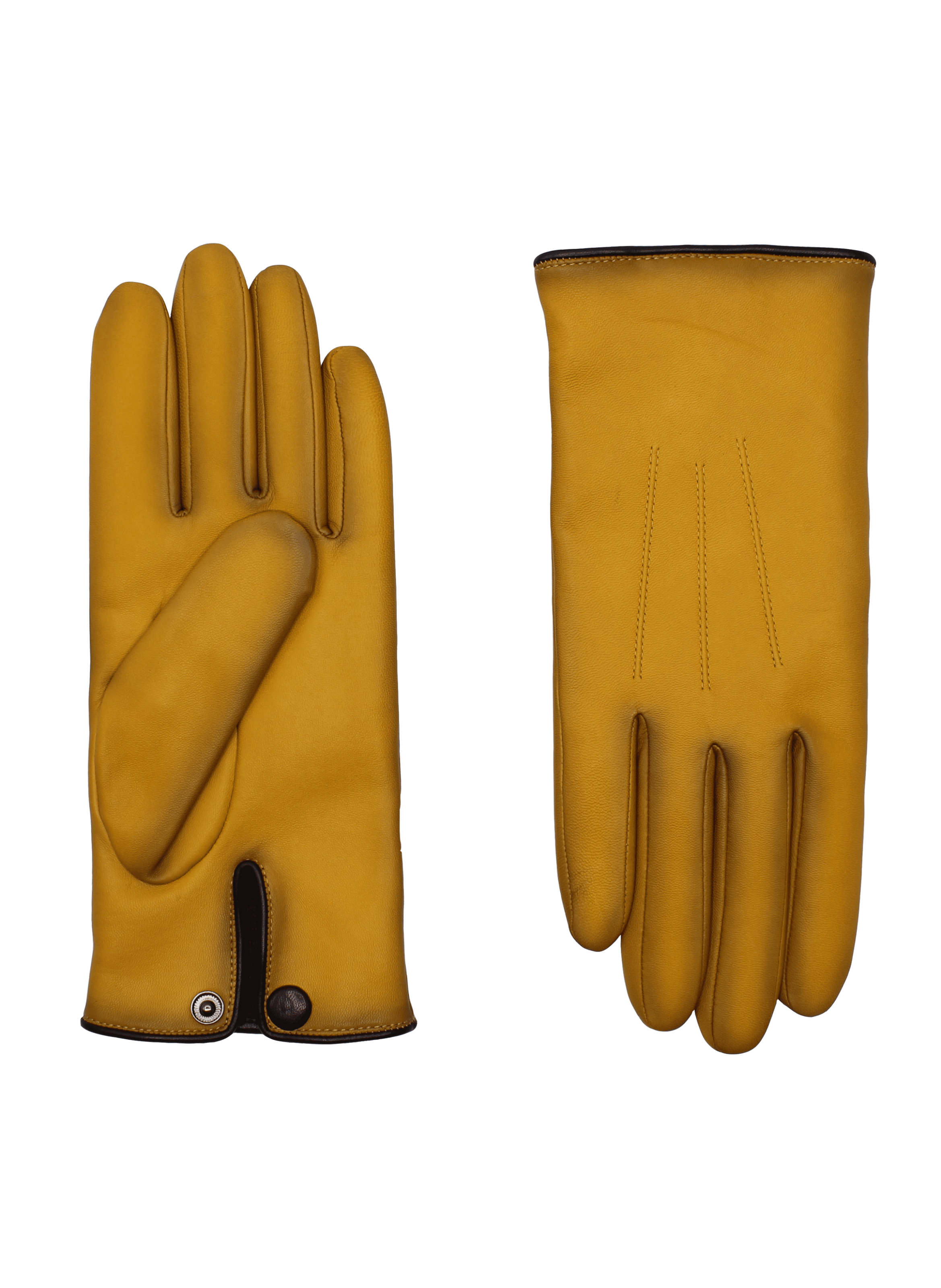 Gants Rick Homme Cuir Doublés Cachemire