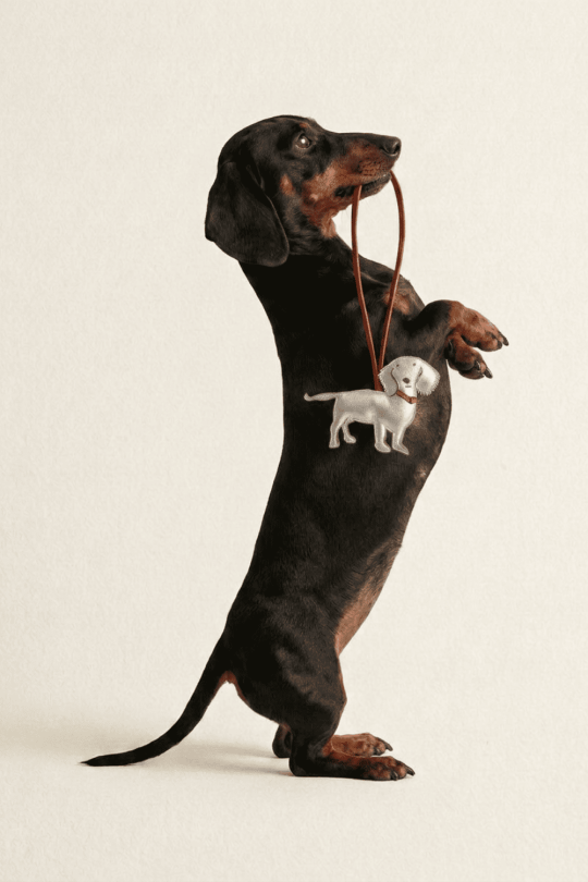 Bijou en cuir agneau avec tete de chien et lien en cuir
