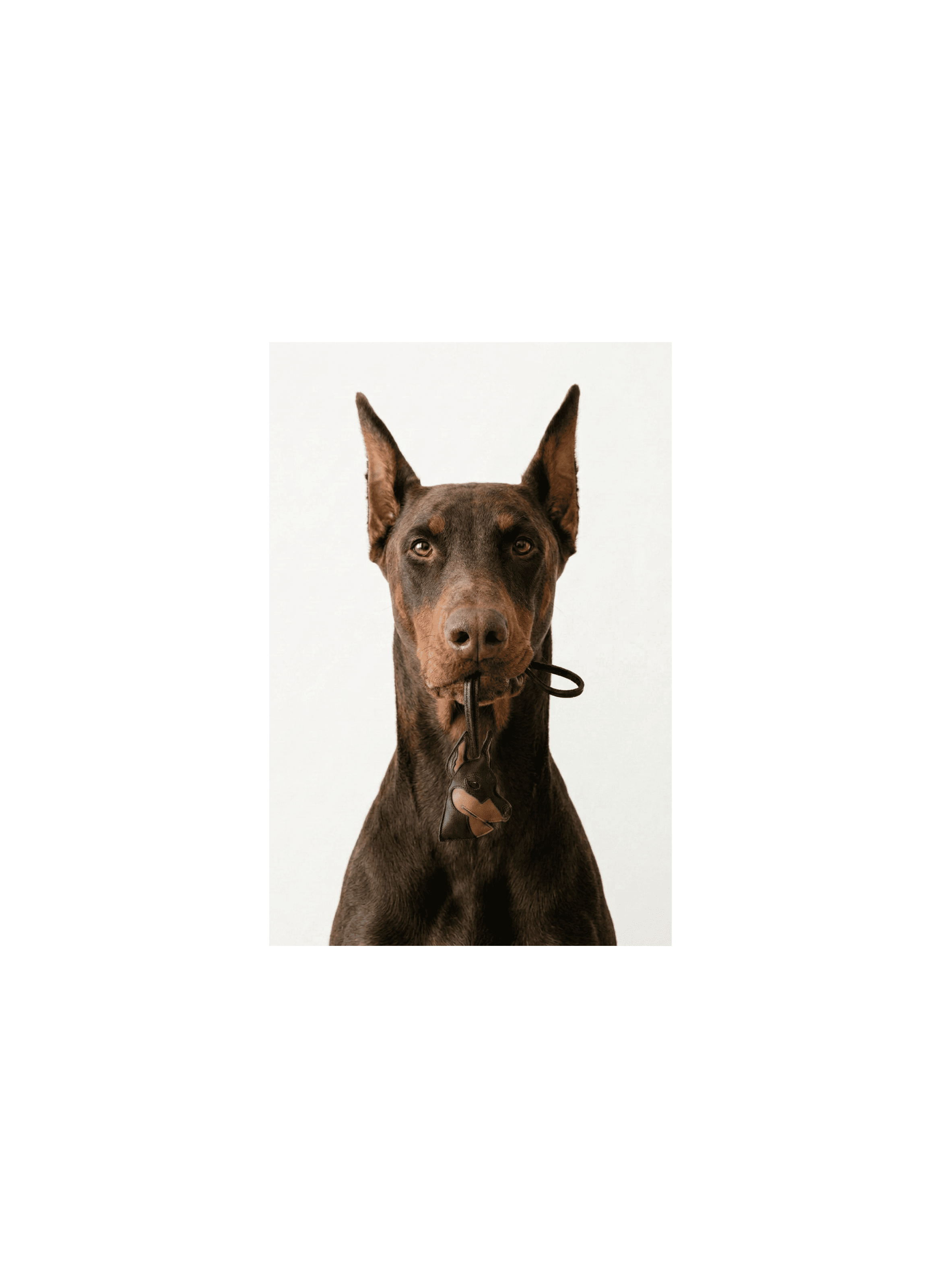 Bijou en cuir agneau avec tete de chien et lien en cuir