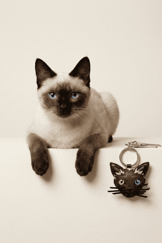 Keychain Siamois