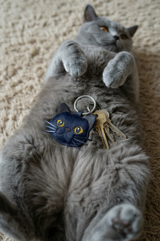 Keychain British