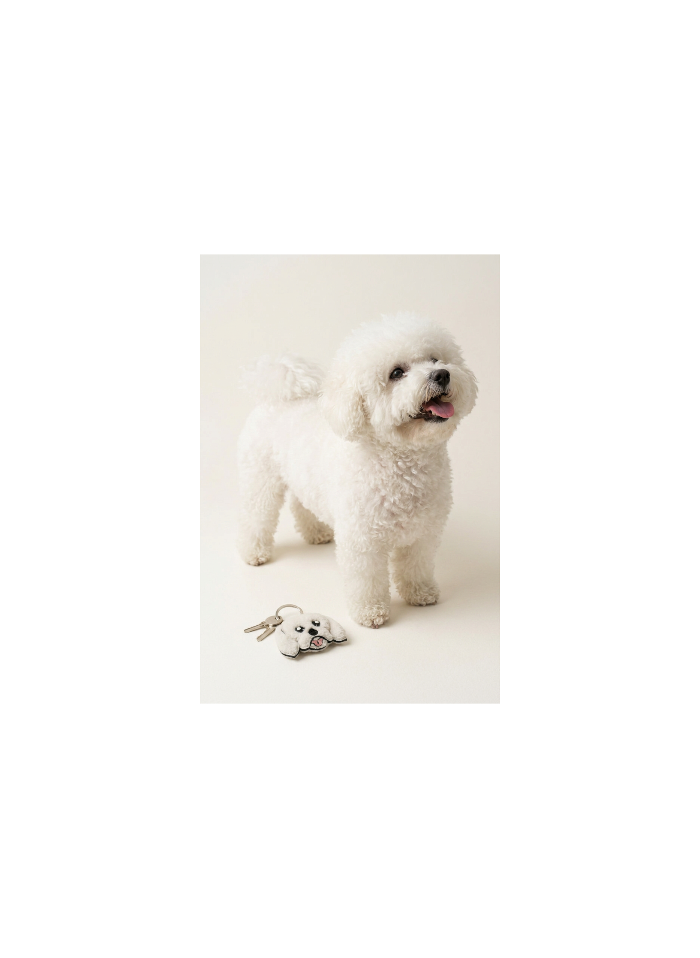 Porte-clé Bichon