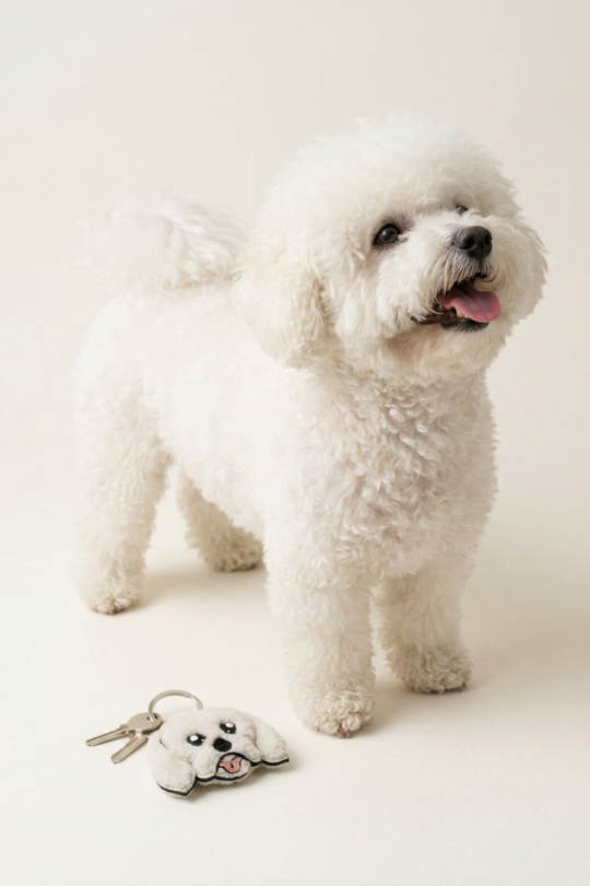 Porte-clé Bichon