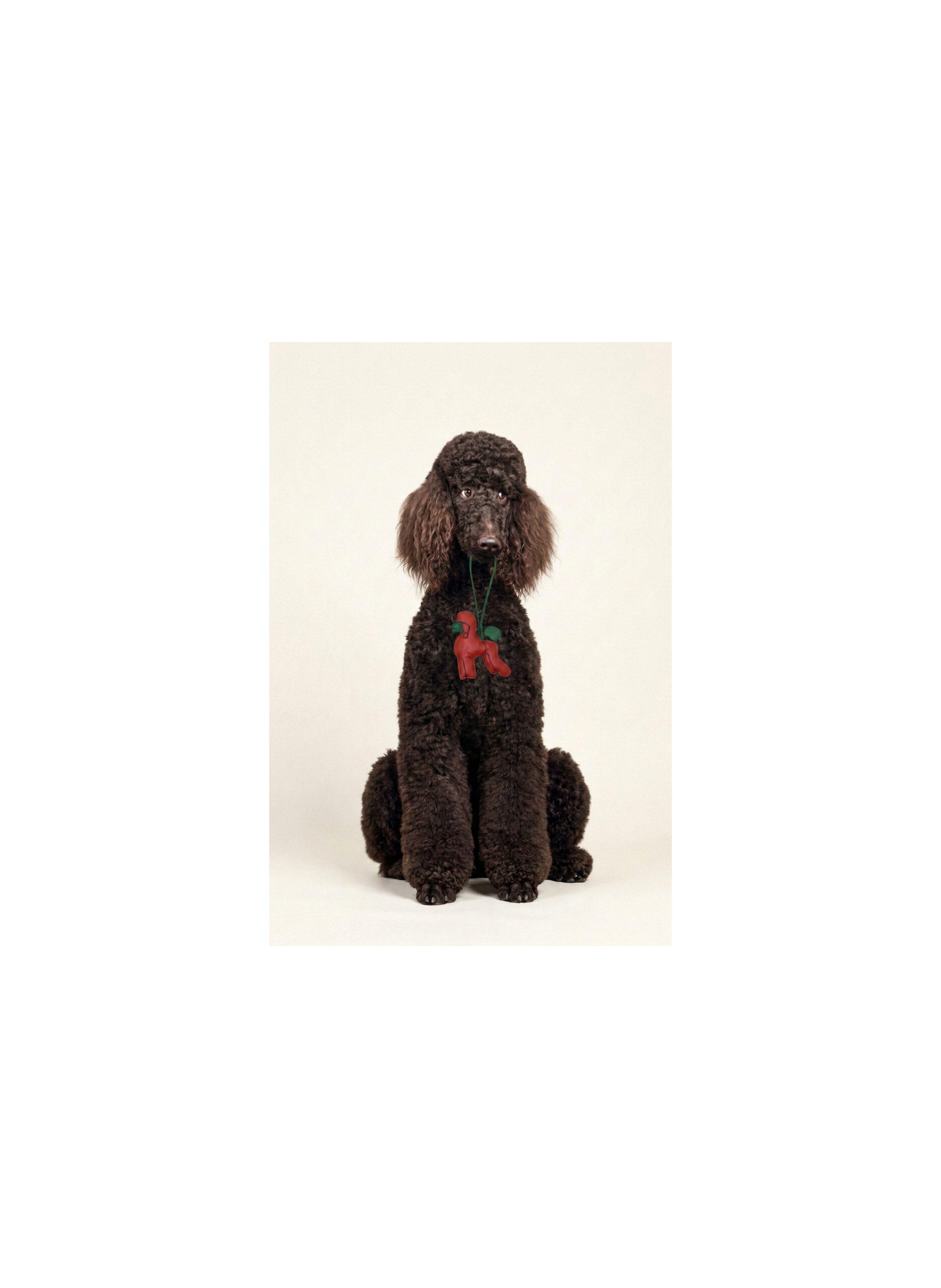Bijou en cuir agneau avec tete de chien et lien en cuir