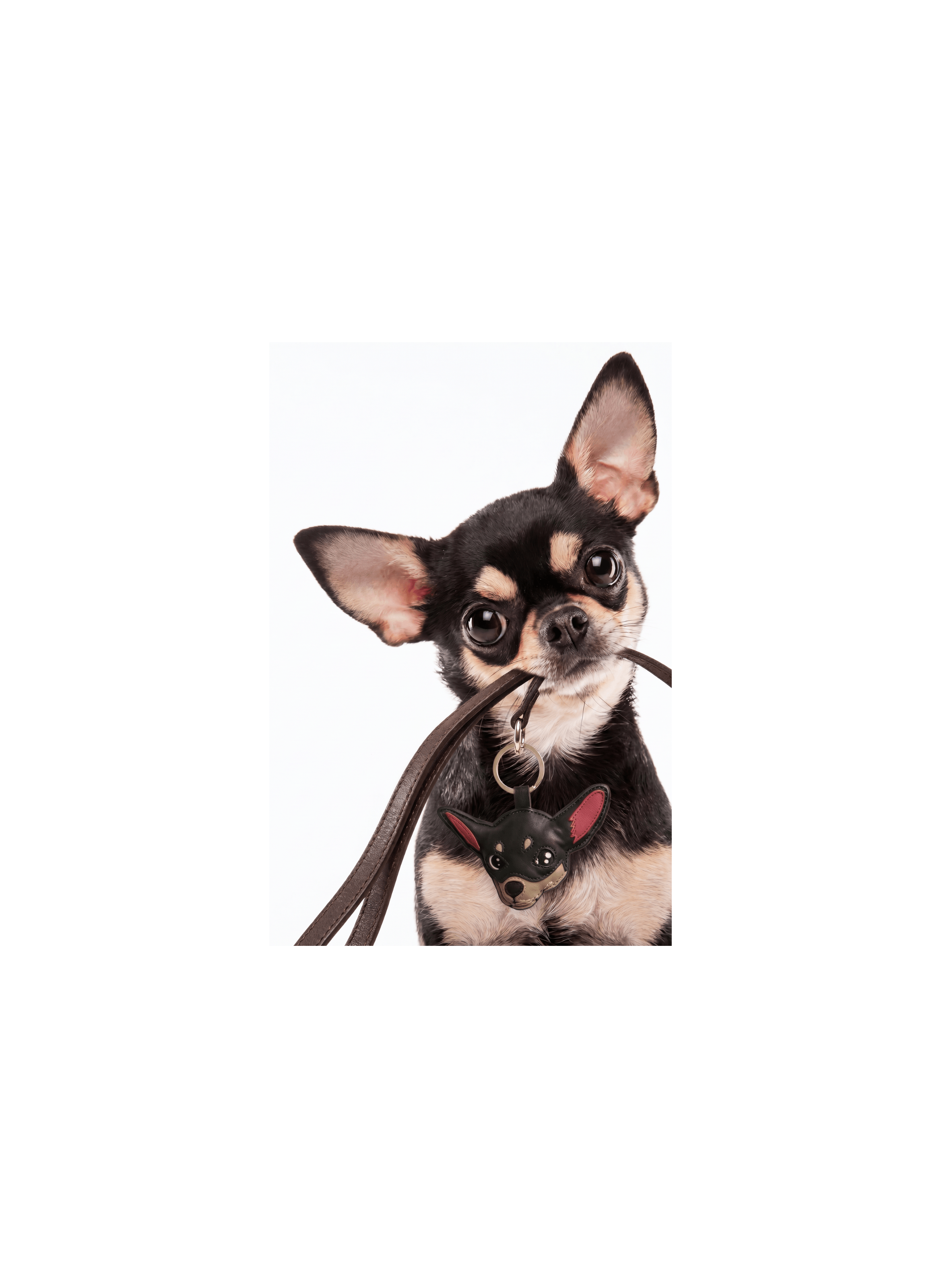 Porte-clé Chihuahua