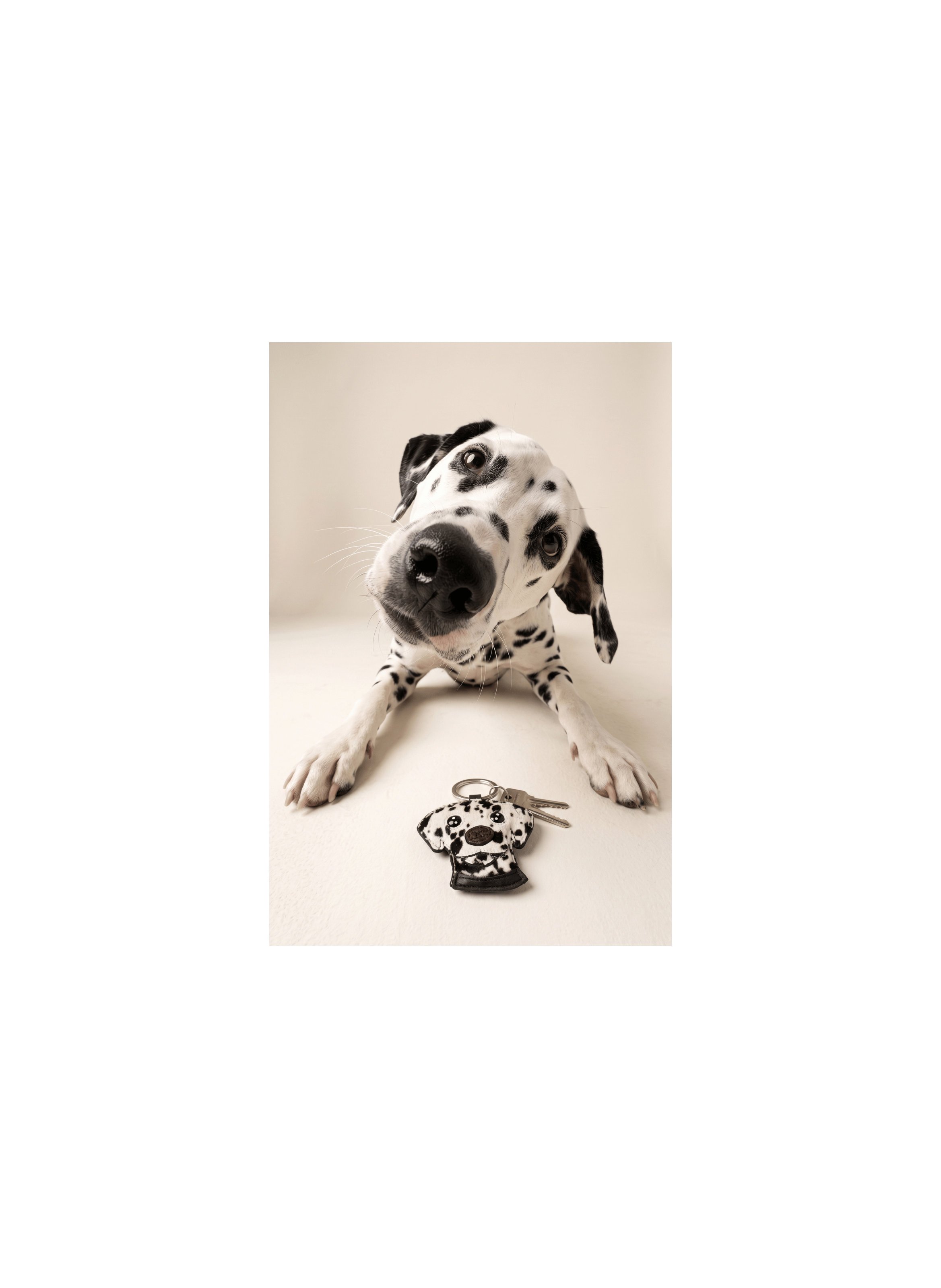 Porte-clé Dalmatien