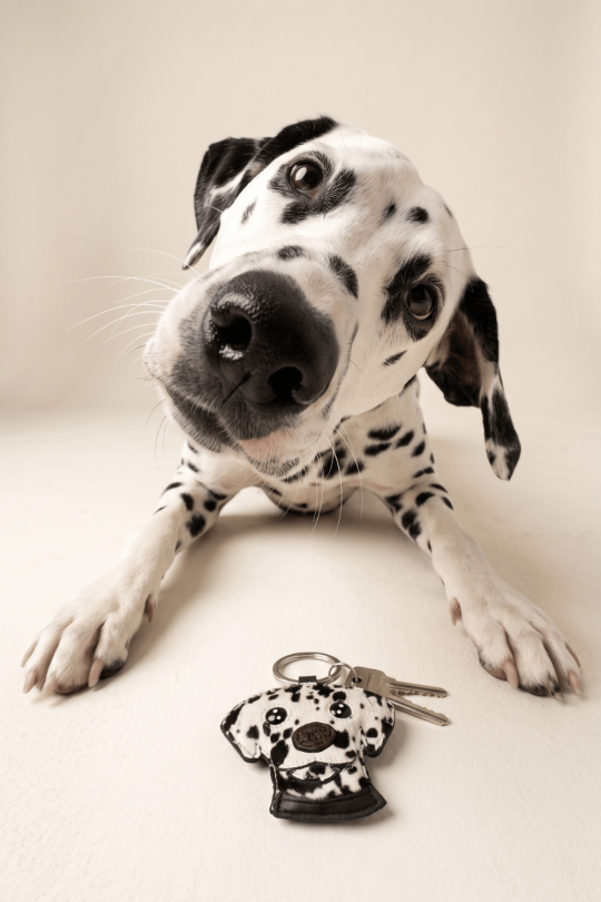 Porte-clé Dalmatien