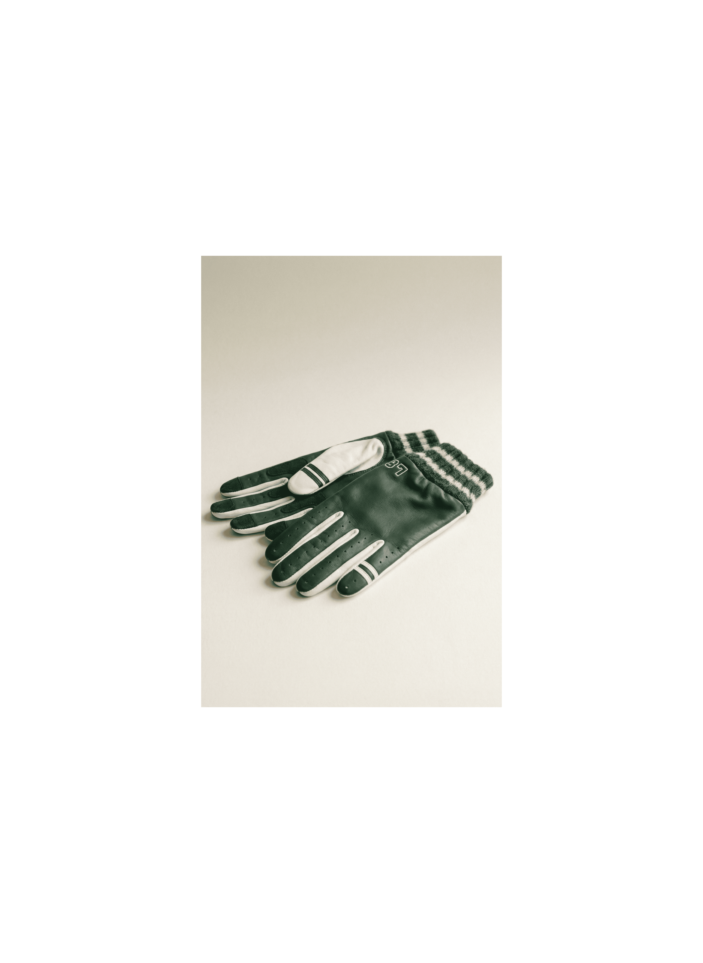 Tedd Mobility Men's Leather Gloves Lined with Alpaca