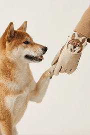 Gant dame cuir agneau glace&double face tete chien shiba double soie