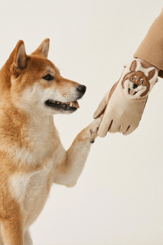 Gants Shibano Femme Cuir d’Agneau Double Face Doublés Soie