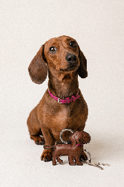 Porte cle en cuir agneau en forme de chien Teckel et lien en cuir