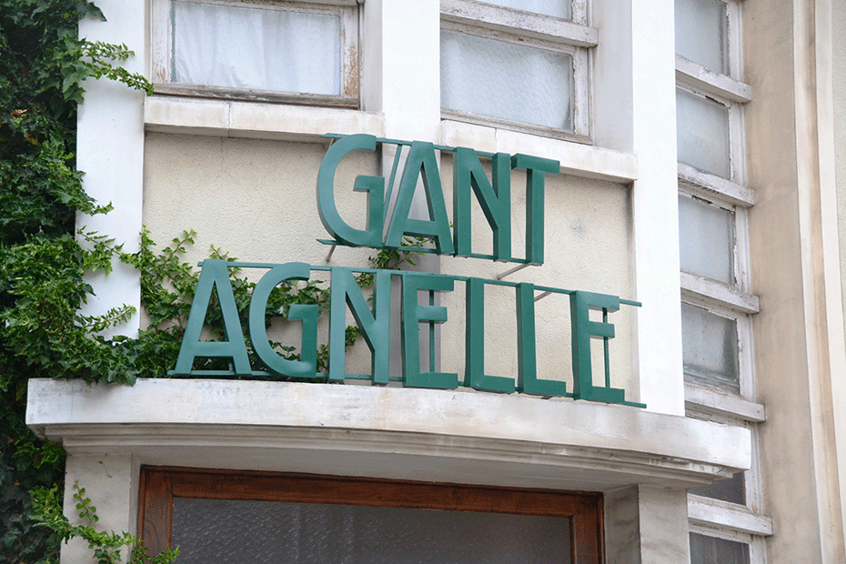 Agnelle